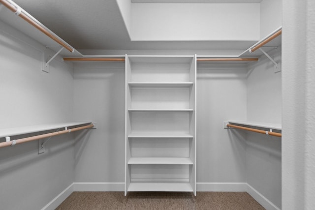 13310 N Starling Ln, Spokane, WA 99208 - spacious closet featuring carpet flooring