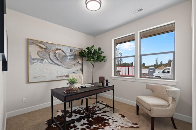 13310 N Starling Ln, Spokane, WA 99208 - office area featuring baseboards, visible vents, and carpet floors