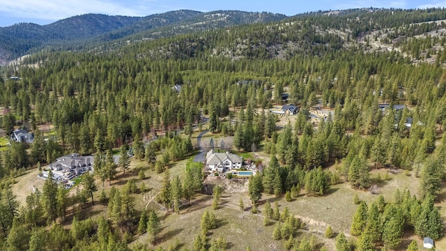 13615 N Riverbluff Ln, Spokane, WA 99208 - aerial view with a view of trees and a mountain view