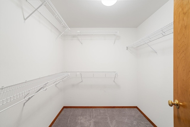 2603 S Sunnybrook Ln, Spokane, WA 99037 - spacious closet with carpet floors