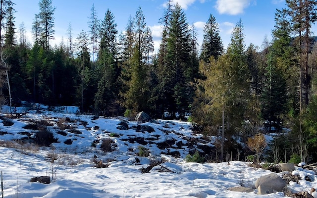 2467 Widow Rd Unit D, Colville, WA 99114 - snowy landscape featuring a forest view