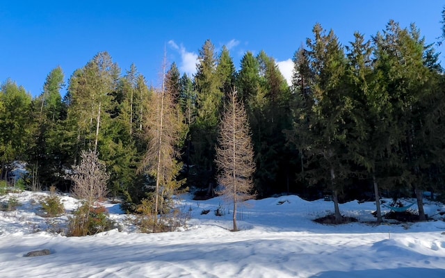 2467 Widow Rd Unit D, Colville, WA 99114 - view of snow covered land featuring a wooded view