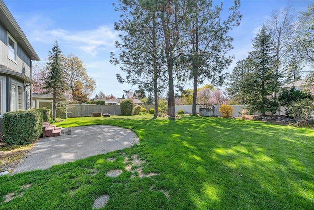 view of yard featuring a patio and a fenced backyard