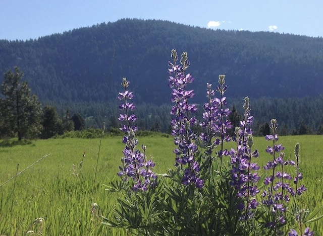 2069 S Johnson Rd, Rice, WA 99167