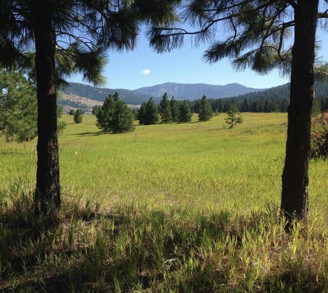 2069 S Johnson Rd, Rice, WA 99167
