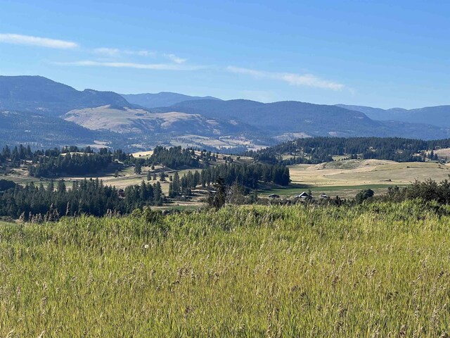 2069 S Johnson Rd, Rice, WA 99167