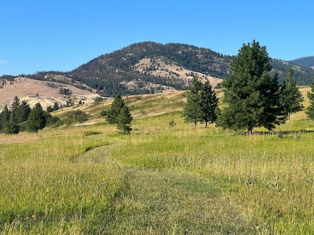 2069 S Johnson Rd, Rice, WA 99167