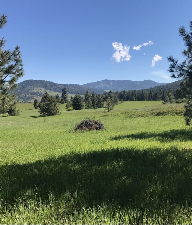 2069 S Johnson Rd, Rice, WA 99167