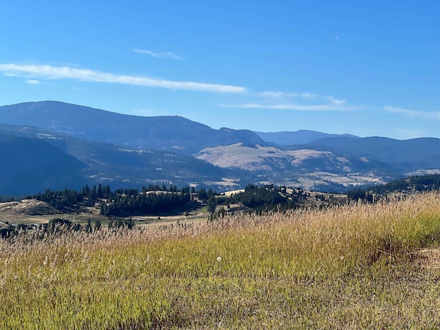 2069 S Johnson Rd, Rice, WA 99167