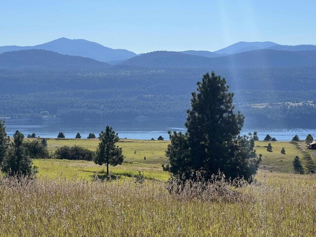 2069 S Johnson Rd, Rice, WA 99167
