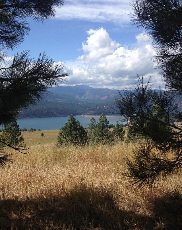 2069 S Johnson Rd, Rice, WA 99167