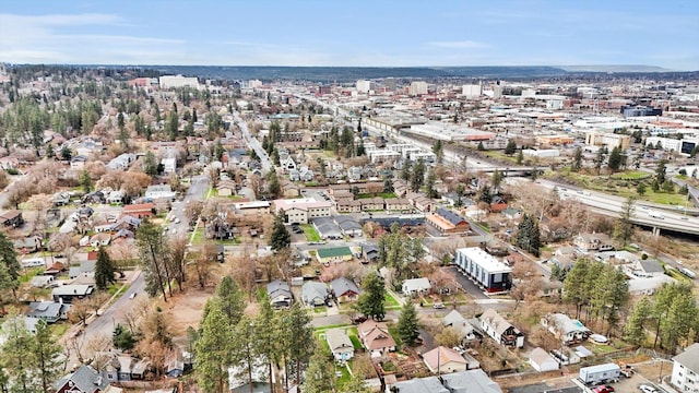 drone / aerial view