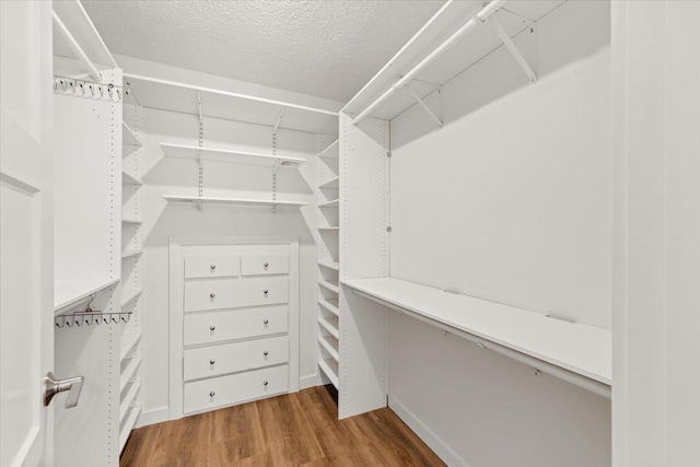 spacious closet featuring wood finished floors