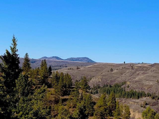 31775 E Ruffed Grouse Dr, Davenport, WA 99122 - photo 1