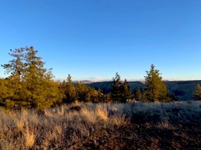 31775 E Ruffed Grouse Dr, Davenport, WA 99122 - photo 2