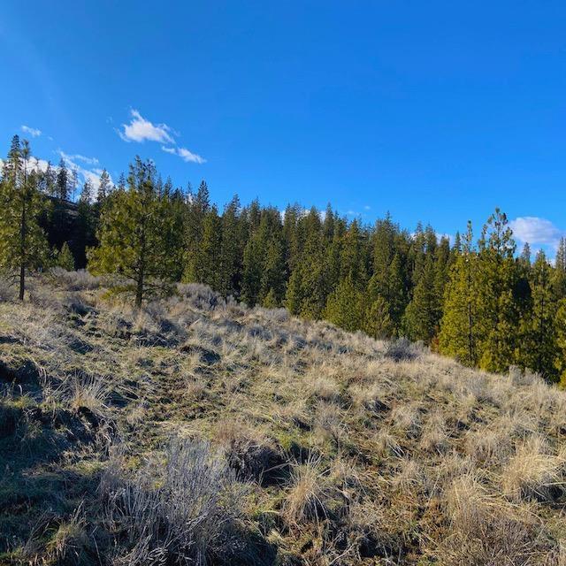 31775 E Ruffed Grouse Dr, Davenport, WA 99122 - photo 3