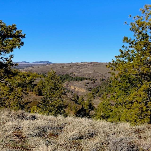 31775 E Ruffed Grouse Dr, Davenport, WA 99122 - photo 4