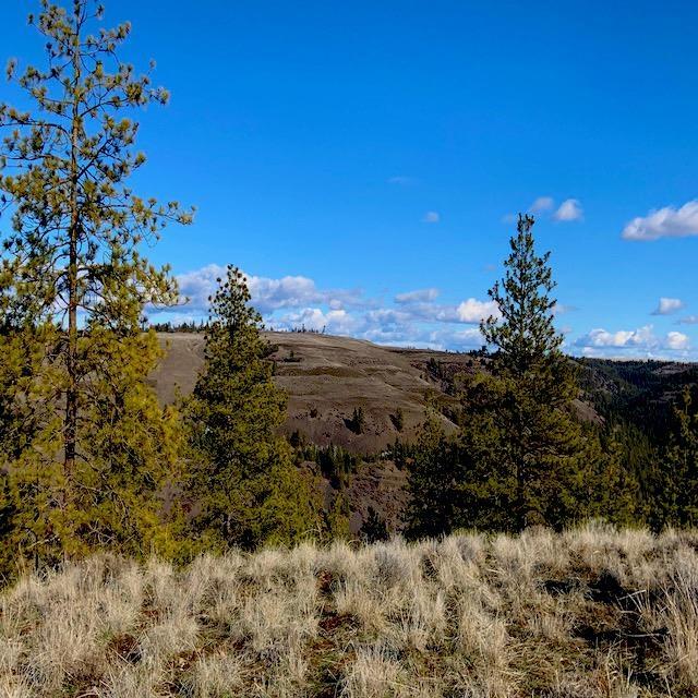 31775 E Ruffed Grouse Dr, Davenport, WA 99122 - photo 6
