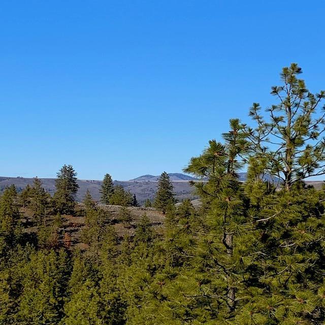 31775 E Ruffed Grouse Dr, Davenport, WA 99122 - photo 7