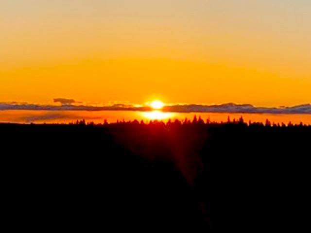 31775 E Ruffed Grouse Dr, Davenport, WA 99122 - photo 10