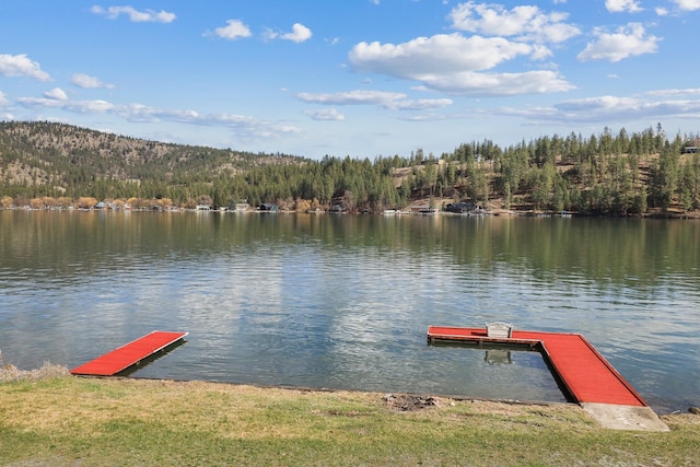 dock area featuring a water view and a forest view