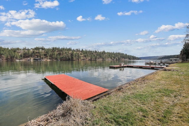 view of dock featuring a water view and a wooded view
