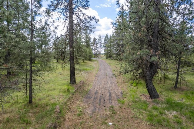 56xxW(Lot4W) Jergens Road For Gps Use 5629Jergens Rd (Directly S Of Lot), Nine Mile Falls, WA 99026