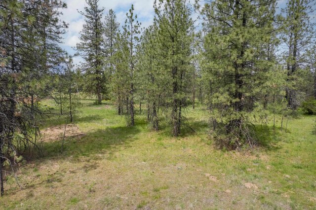 56xxW(Lot4W) Jergens Road For Gps Use 5629Jergens Rd (Directly S Of Lot), Nine Mile Falls, WA 99026