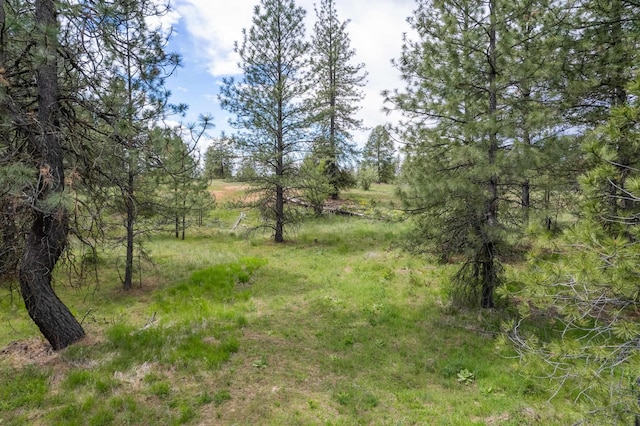 56xxW(Lot4W) Jergens Road For Gps Use 5629Jergens Rd (Directly S Of Lot), Nine Mile Falls, WA 99026