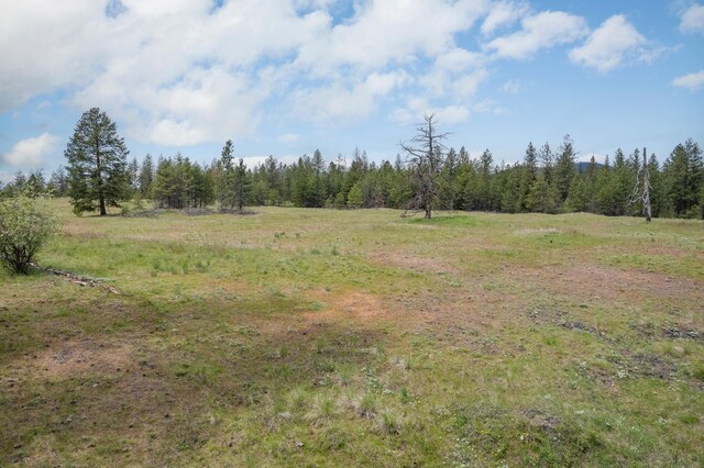 56xxW(Lot4W) Jergens Road For Gps Use 5629Jergens Rd (Directly S Of Lot), Nine Mile Falls, WA 99026