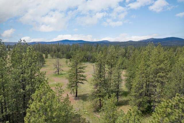 56xxW(Lot4W) Jergens Road For Gps Use 5629Jergens Rd (Directly S Of Lot), Nine Mile Falls, WA 99026