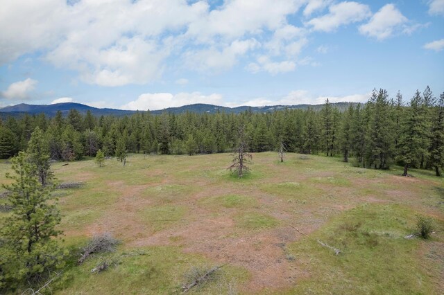 56xxW(Lot4W) Jergens Road For Gps Use 5629Jergens Rd (Directly S Of Lot), Nine Mile Falls, WA 99026