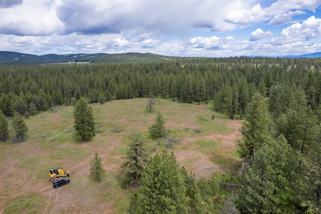 56xxW(Lot4W) Jergens Road For Gps Use 5629Jergens Rd (Directly S Of Lot), Nine Mile Falls, WA 99026