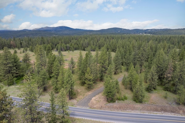 56xxW(Lot4W) Jergens Road For Gps Use 5629Jergens Rd (Directly S Of Lot), Nine Mile Falls, WA 99026