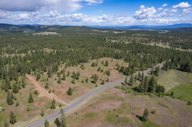 56xxW(Lot4W) Jergens Road For Gps Use 5629Jergens Rd (Directly S Of Lot), Nine Mile Falls, WA 99026