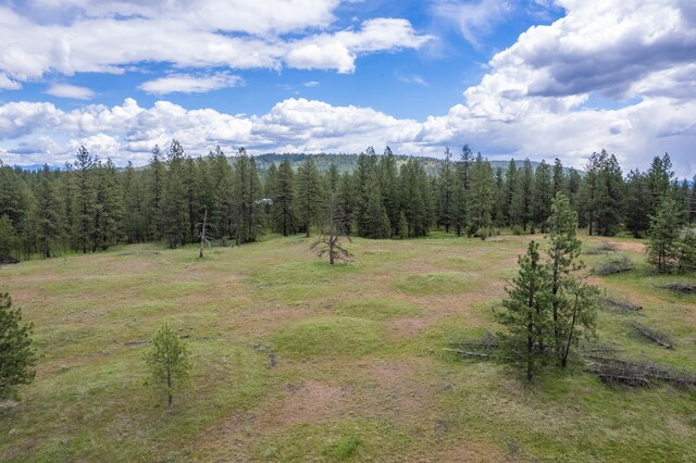 56xxW(Lot4W) Jergens Road For Gps Use 5629Jergens Rd (Directly S Of Lot), Nine Mile Falls, WA 99026