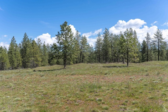 56xxW(Lot4W) Jergens Road For Gps Use 5629Jergens Rd (Directly S Of Lot), Nine Mile Falls, WA 99026