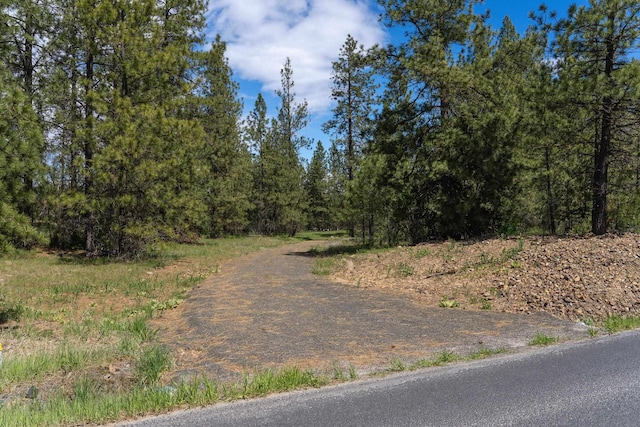 56xxW(Lot4W) Jergens Road For Gps Use 5629Jergens Rd (Directly S Of Lot), Nine Mile Falls, WA 99026