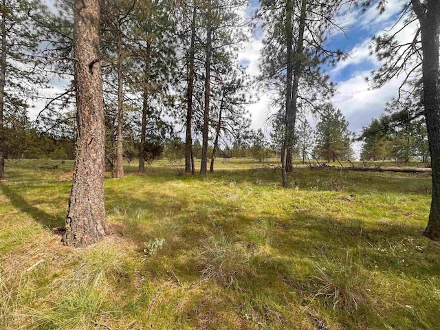 56xxW(Lot4W) Jergens Road For Gps Use 5629Jergens Rd (Directly S Of Lot), Nine Mile Falls, WA 99026