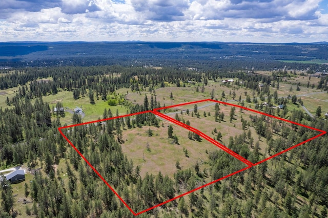56xxW(Lot4W) Jergens Road For Gps Use 5629Jergens Rd (Directly S Of Lot), Nine Mile Falls, WA 99026