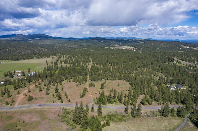 56xxW(Lot4W) Jergens Road For Gps Use 5629Jergens Rd (Directly S Of Lot), Nine Mile Falls, WA 99026