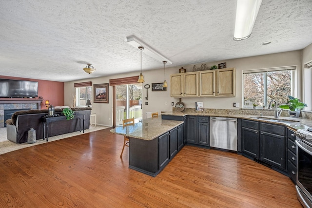 kitchen with open floor plan, appliances with stainless steel finishes, a sink, and plenty of natural light
