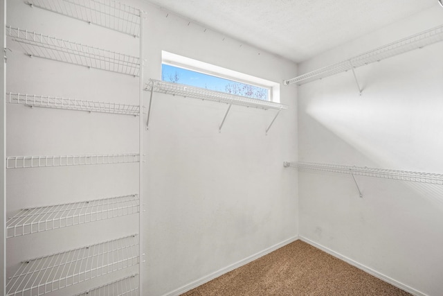 walk in closet with carpet