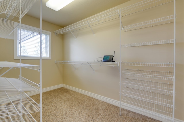 6519 W Kitsap Dr, Spokane, WA 99208 - walk in closet featuring carpet flooring