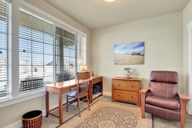 6610 S Springview St, Spokane, WA 99224 - office featuring light colored carpet and baseboards