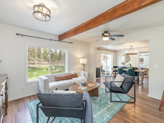 living room featuring wood finished floors, beamed ceiling, ceiling fan with notable chandelier, and plenty of natural light