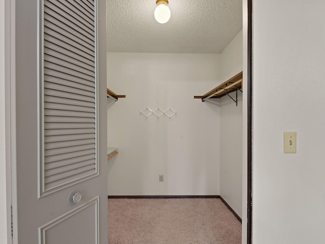 walk in closet with carpet flooring