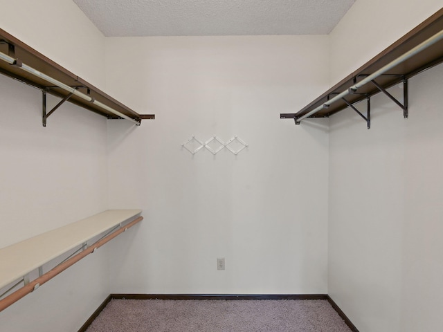 walk in closet featuring carpet floors