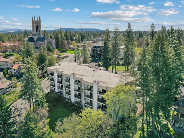 bird's eye view featuring a mountain view