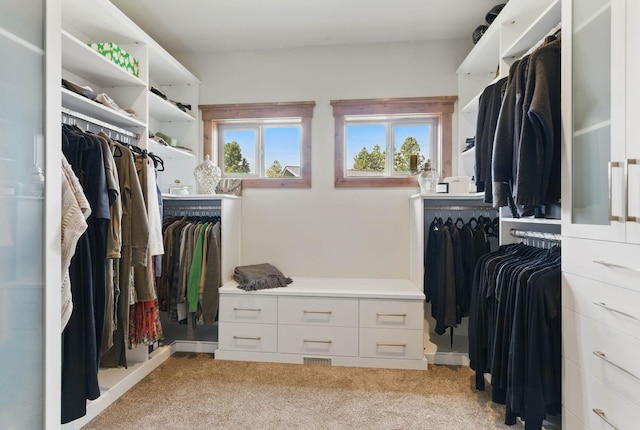 spacious closet featuring light carpet